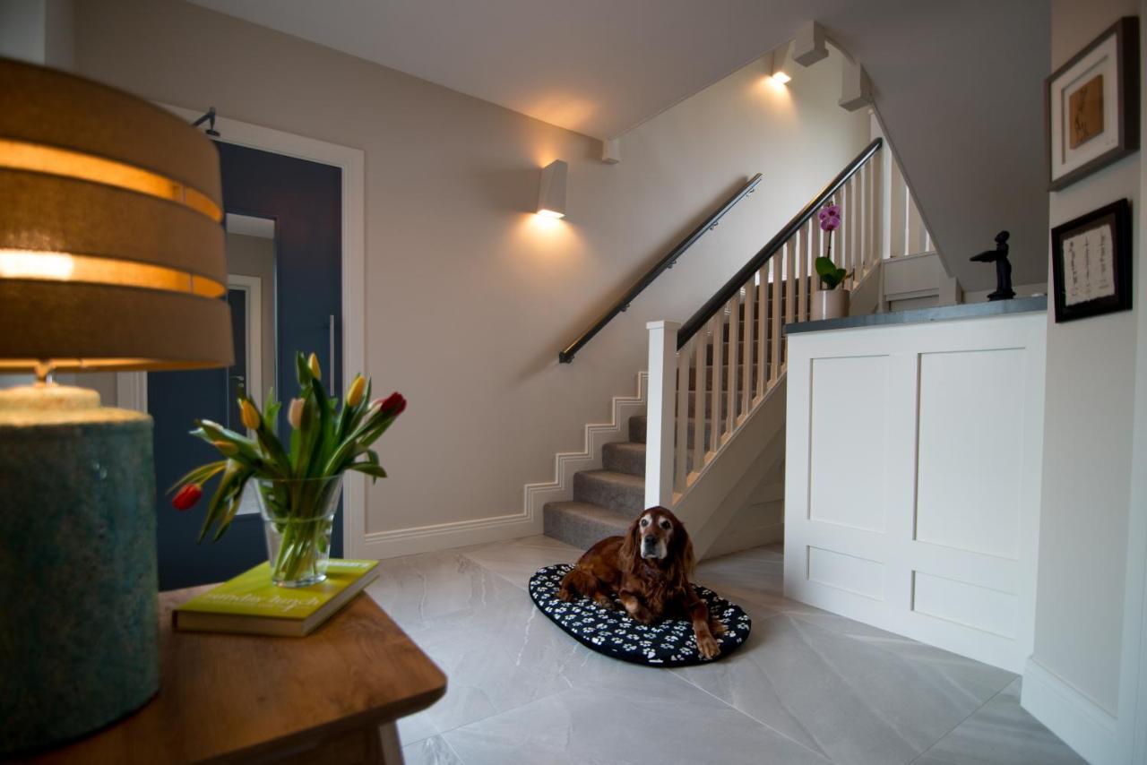 Sheedy'S Doolin Bed & Breakfast Eksteriør bilde